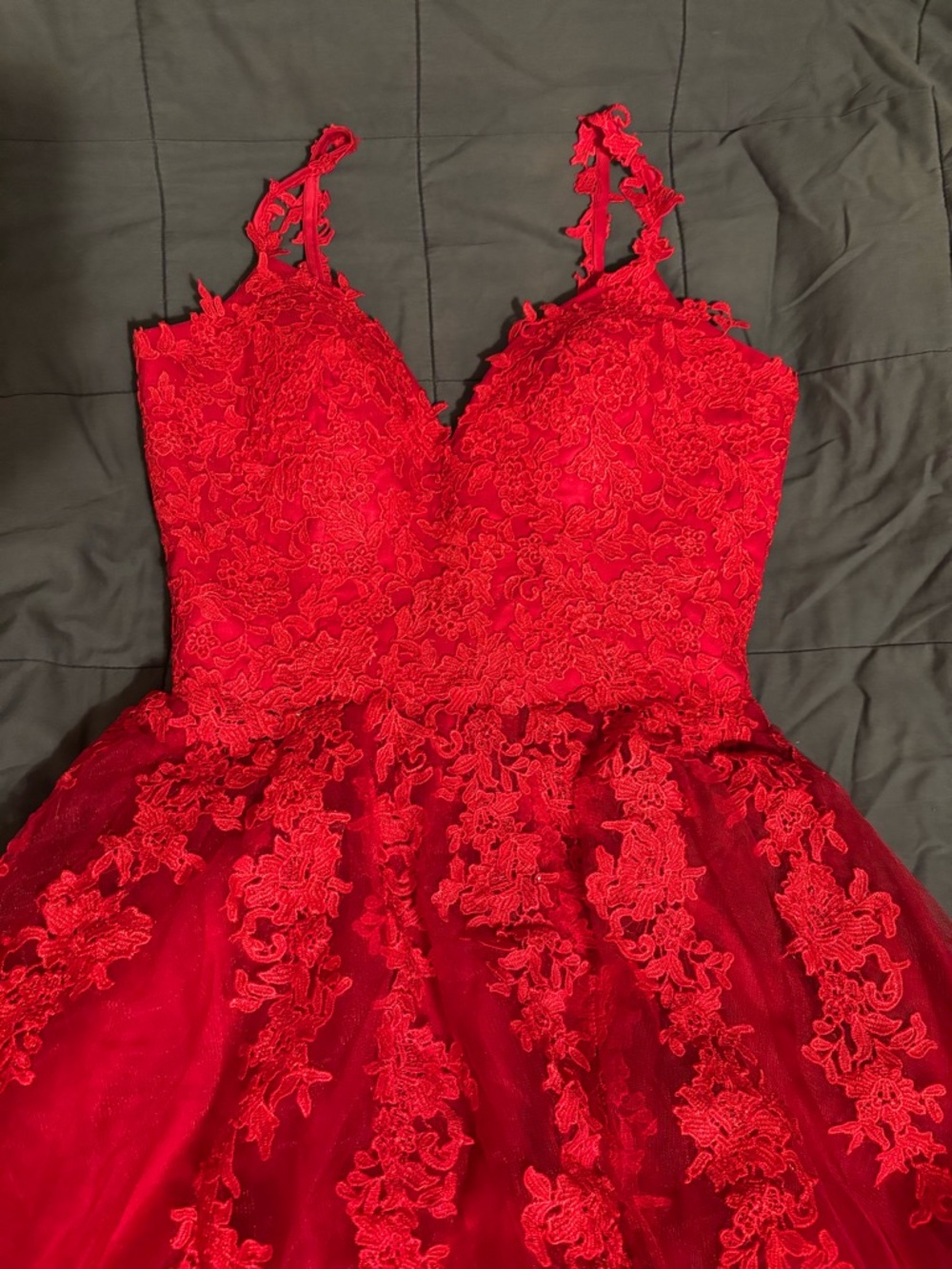 Red Lace Appliqué Formal Dress